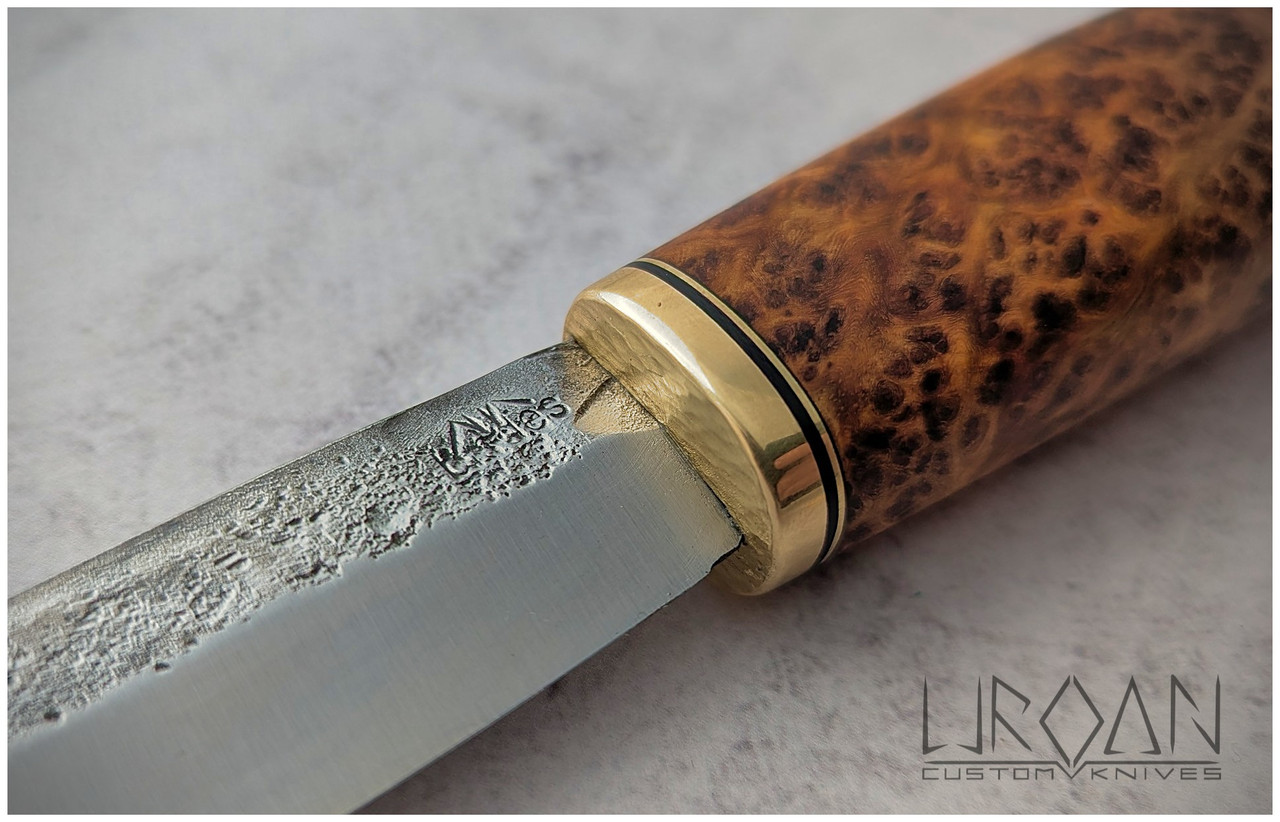 PXL 20260226 115034679