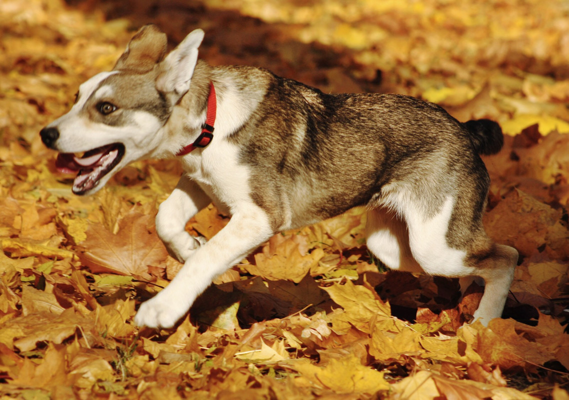 4258B7F5-AF6C-4D79-B3B0-9A598B821930