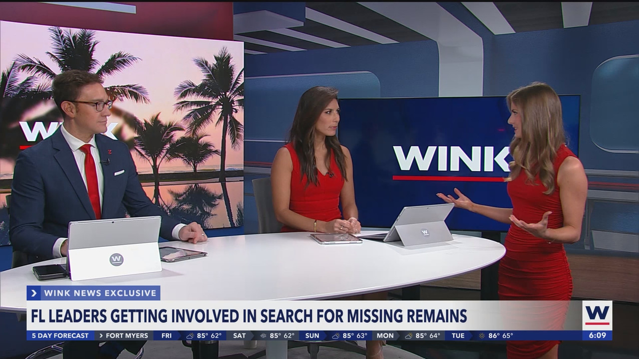 WINK News at 600am_20250207_11001130.ts_snapshot_10.31.531