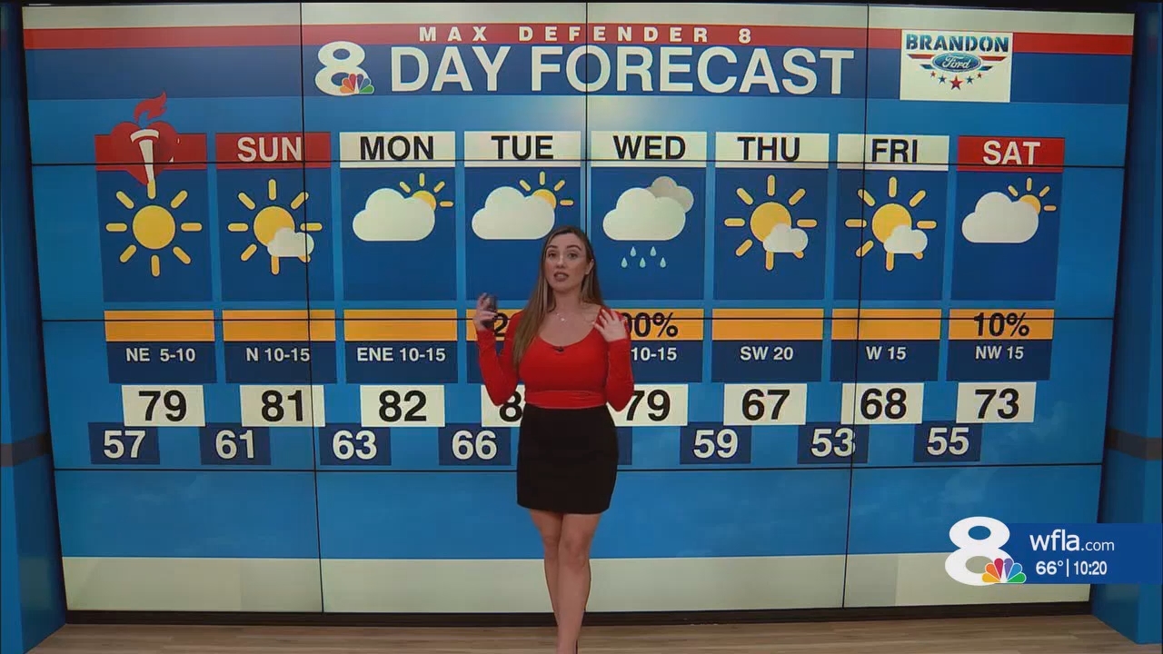 NewsChannel 8 News at 1000pm_20241116_03000330.ts_snapshot_21.33.898