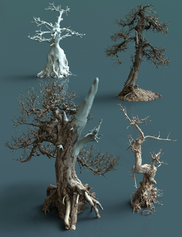 4 Dead Bonsai Trees 4 Dead Bonsai Trees