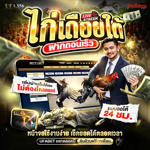 ไก่เดือยใต้ ดูไก่เดือยสด ออนไลน์ ถ่ายทอดสดไก่ชน