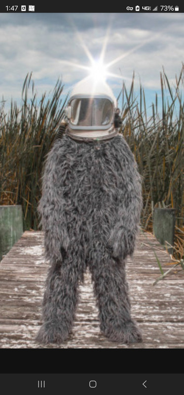 Screenshot_20241213_134727_DuckDuckGo