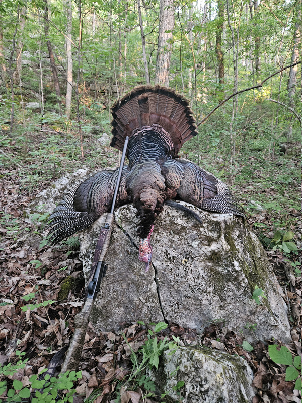 410 Turkey 1 26