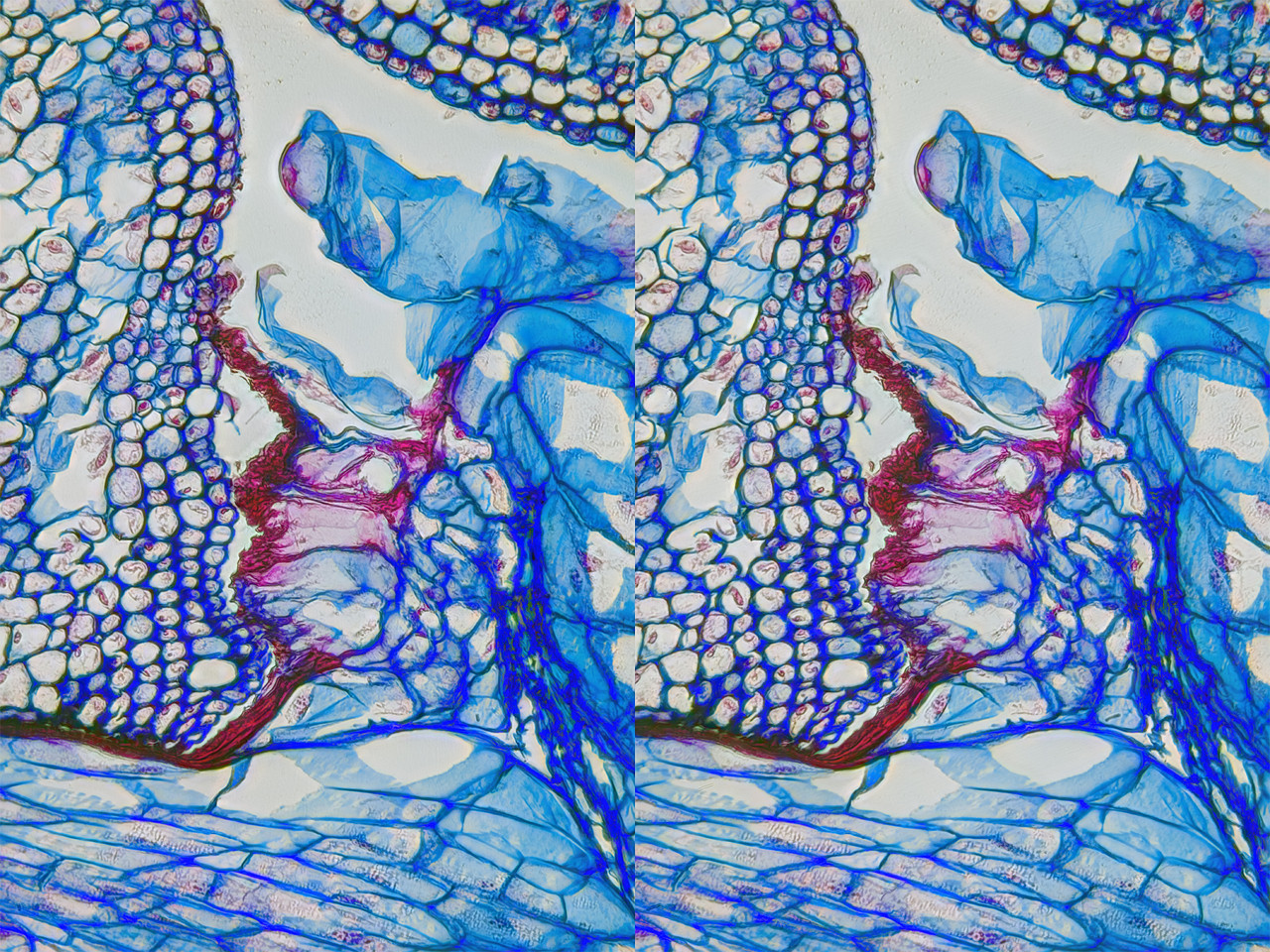 Stereo 3 5 Cross TPnd 2048