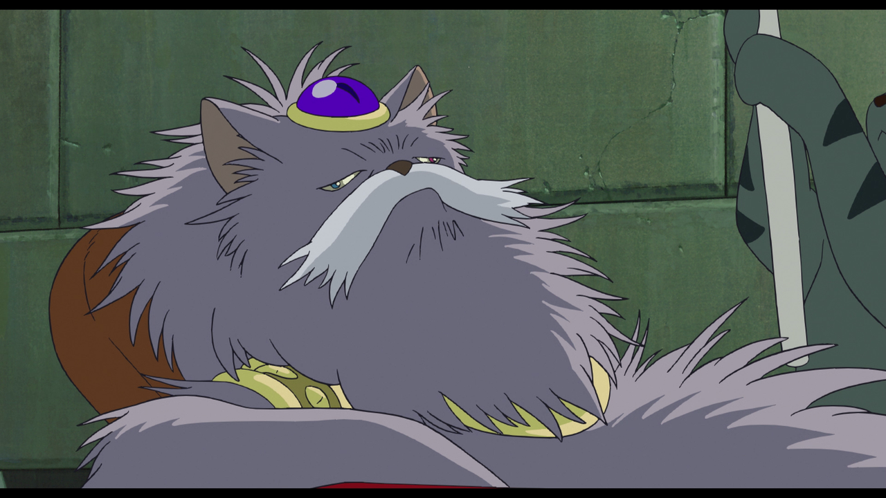 vlcsnap-2024-01-21-12h54m09s081