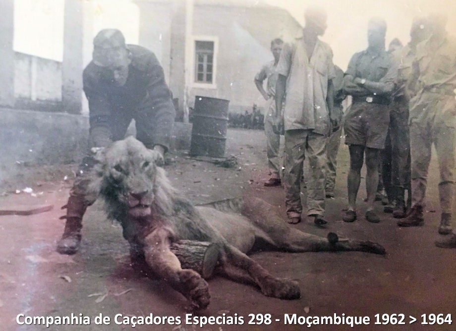 52039669-538614206630933-8943655058977849344-n