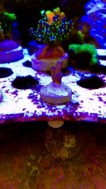 BB15D43C-0F52-476F-AE57-6315F1687617