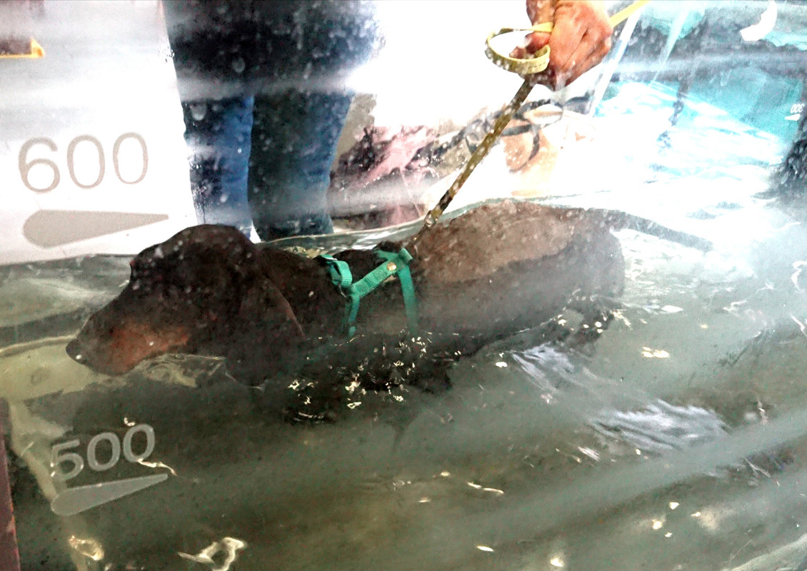 [Image: 20221209-141902.jpg]