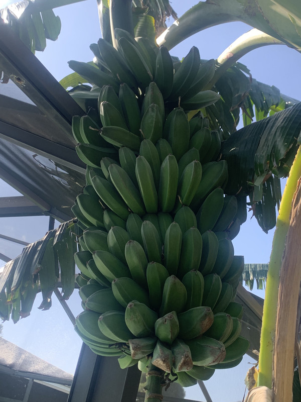 8F229FCC-2782-4F73-A2D7-3E3B8D905CB0