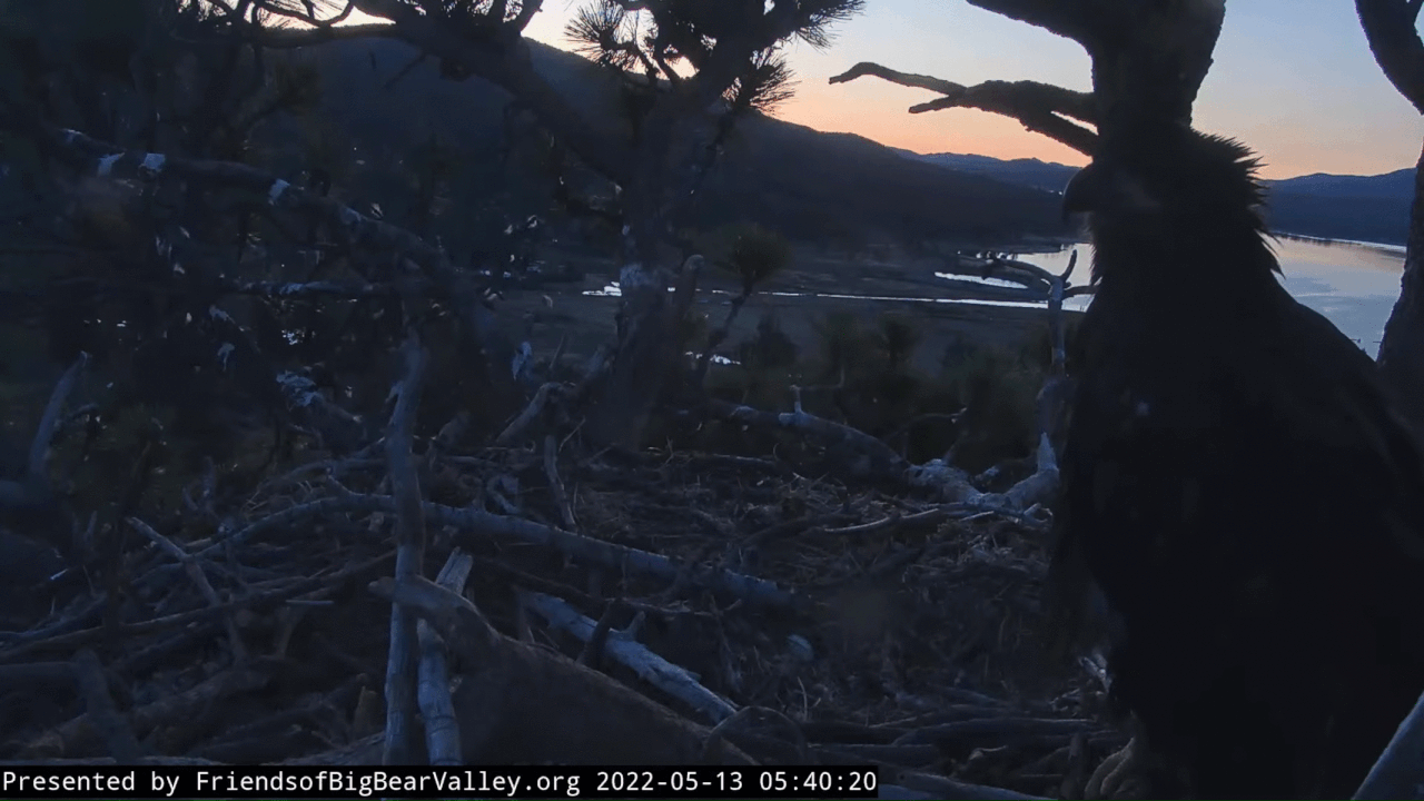 Webp.net-gifmaker (3)