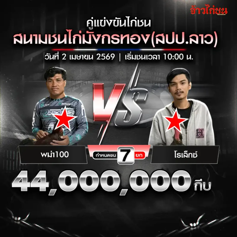 พม่า100 พบ โรเล็กซ์ สรุปผลไก่ชน สนามชนไก่มังกรทอง