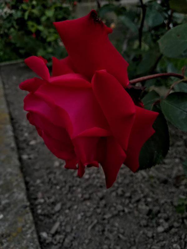IMG_20190522_203400