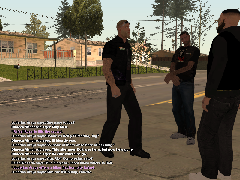 SSRoleplay462.png