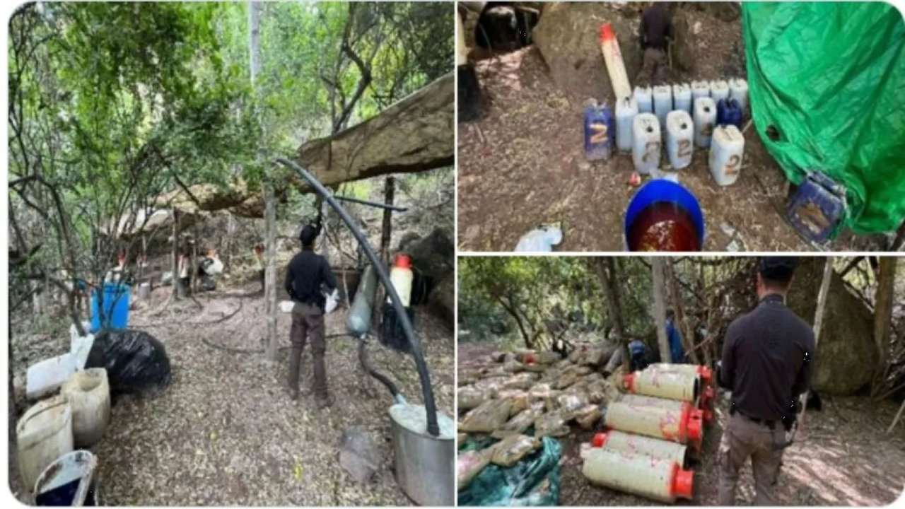 Golpe al narcotráfico: GN y FGR desmantelan narcolaboratorio en Sinaloa