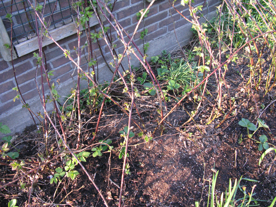 IMG-1422.jpg