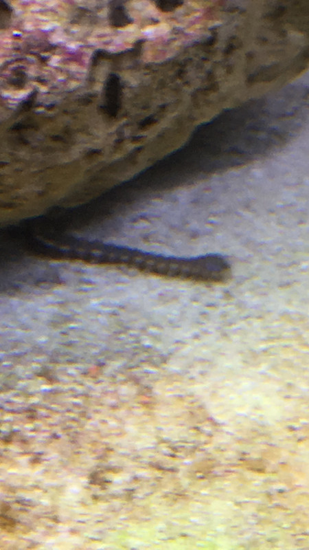 6109F5B2-C5C7-4CDE-ABA9-D8327DDC1856