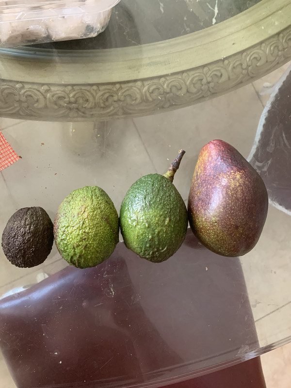 60BCF043-964C-40E4-8E58-16D252A91C2B