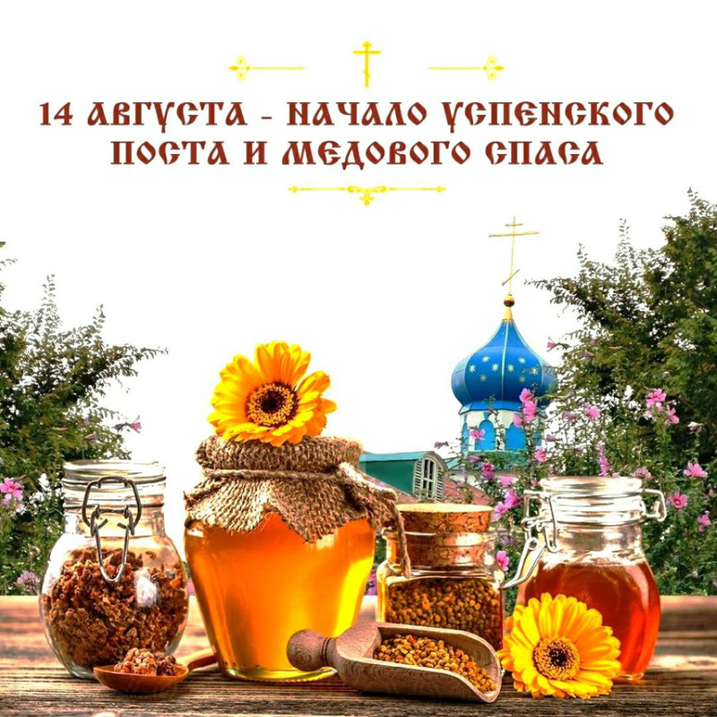 IMG_20230814_093414_435