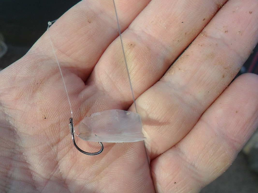 Добрянка 18.09.13 г 02