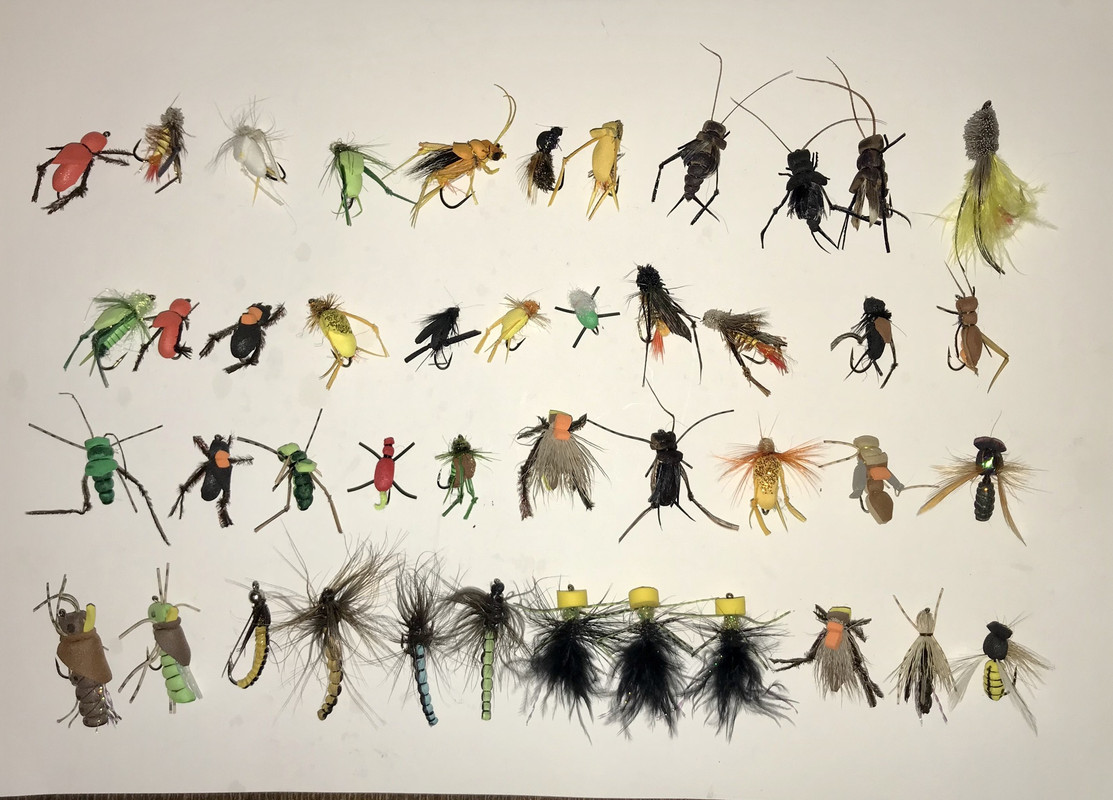 BFBA2C79-838B-431A-B49A-A2749CC47B16