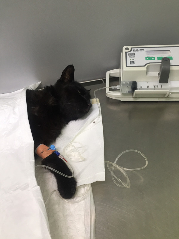 F0CCE481-58E8-4077-8AA9-7322B7F6955B