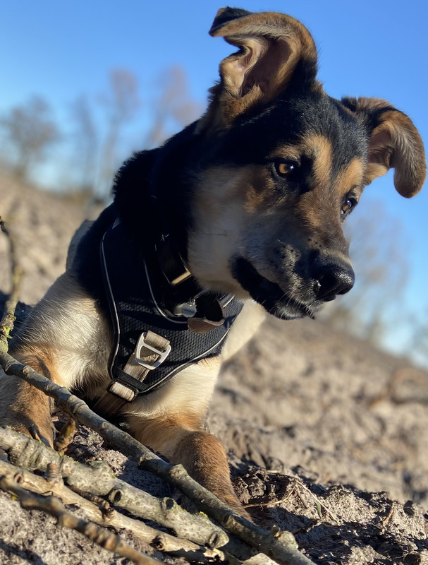 F0961AAE-5B8F-42C3-86C4-2006C980EF0B