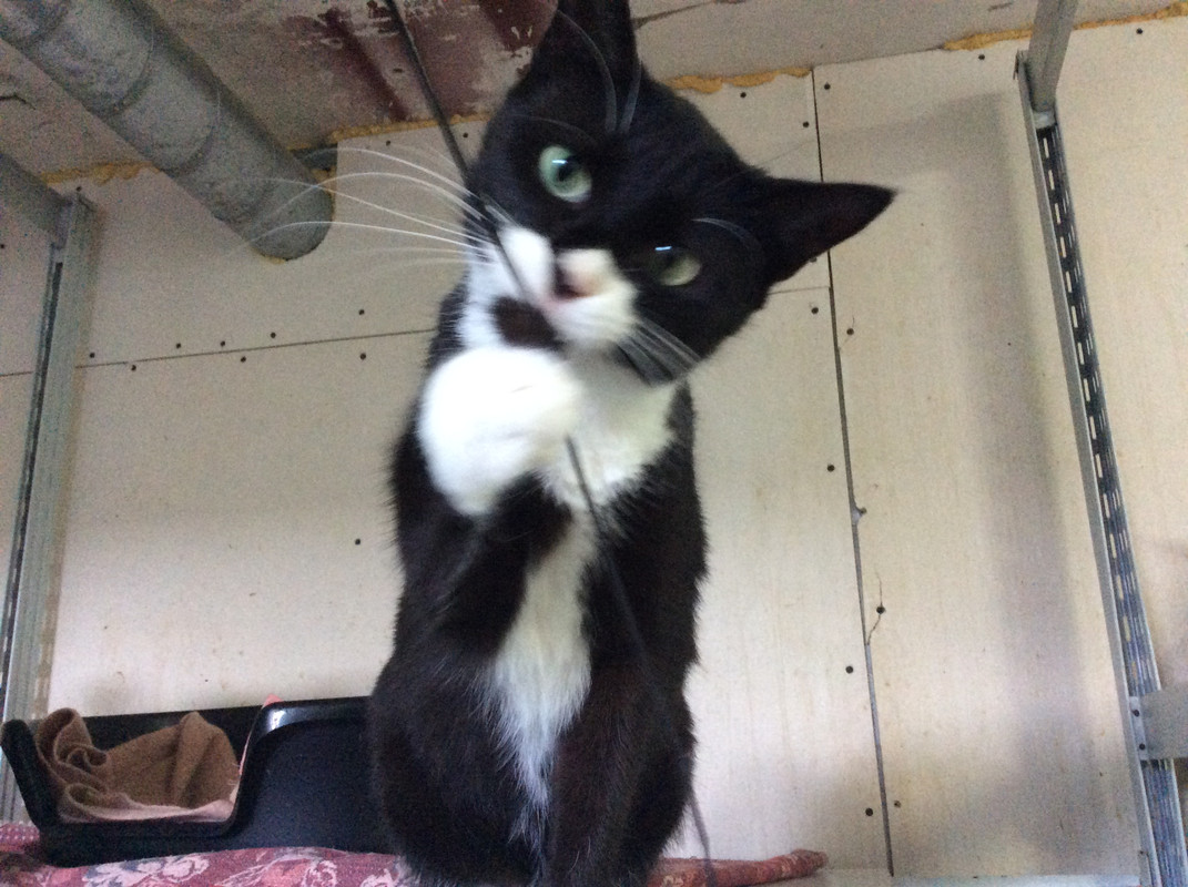 BEDA9994-2EAC-433B-8A64-7787F36EC6B2