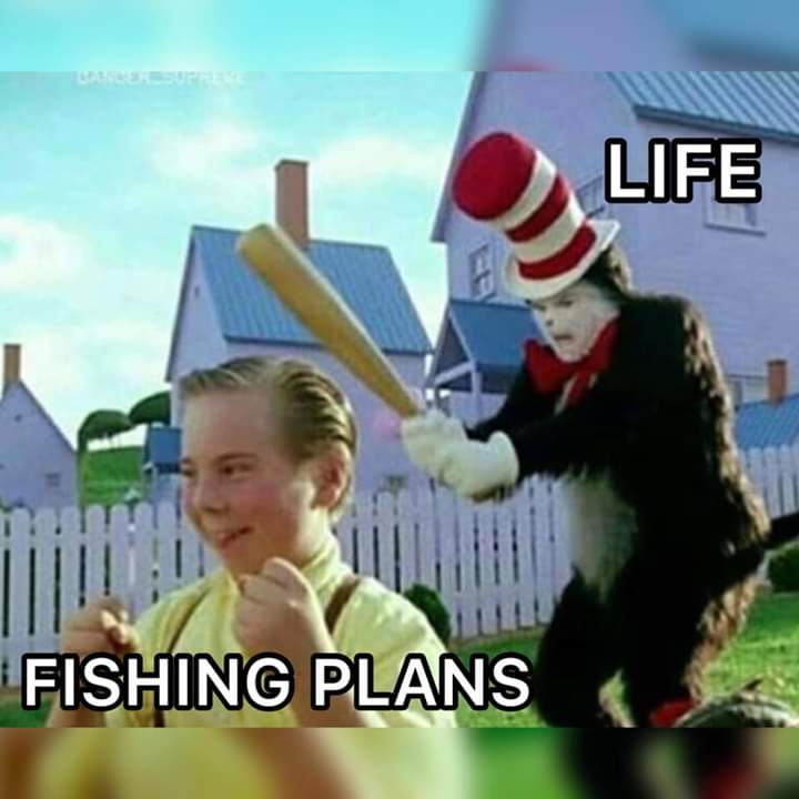 FB-IMG-1554064092596.jpg