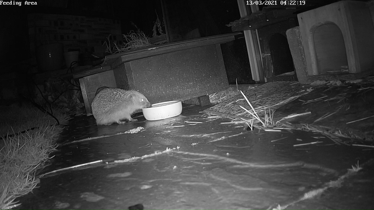 CB0BA552-4377-4781-8F71-0DA1C2F5AF3F