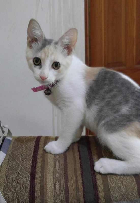 b8bdedf2-df08-4b2f-a06b-952135403e81