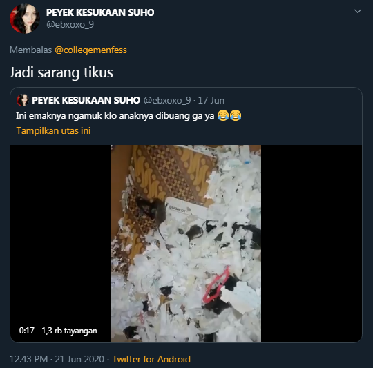Kamar kos milik akun Twitter @ebxoxo_9 dipenuhi oleh anak-anak tikus setelah ditinggal pulang kampung.