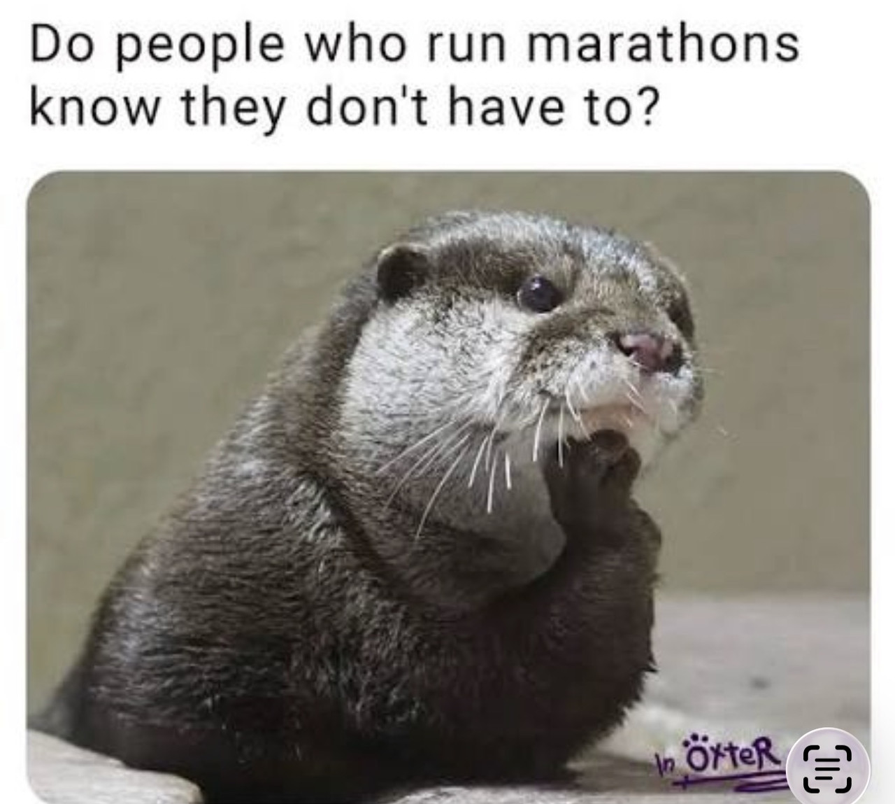 [Linked Image from i.postimg.cc]