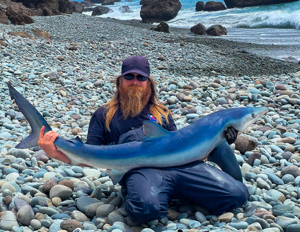 61E83D3C-C169-4AE0-9505-0F81418B5392