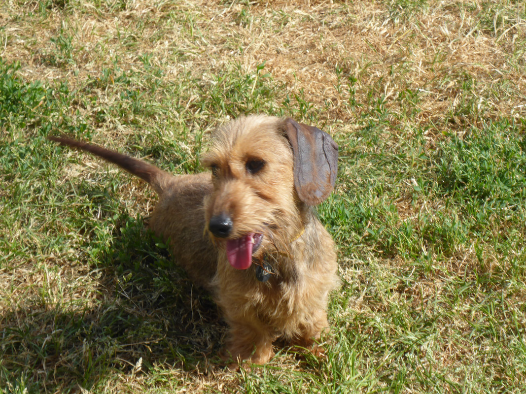 [Image: P1030371.jpg]