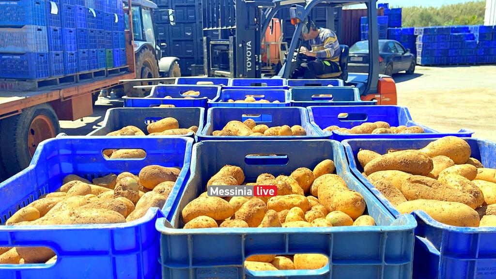 goumas-patates-IMG-5613