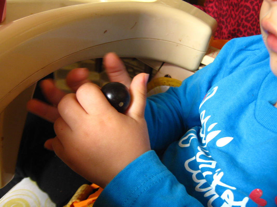 jaboticaba_fruits-20140829T140243