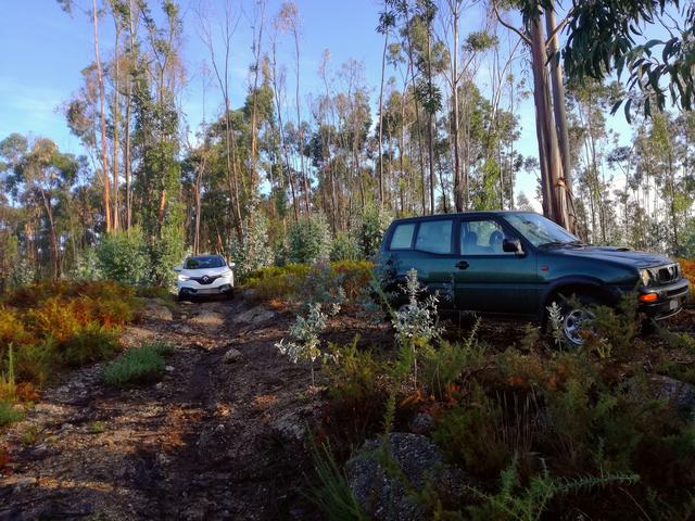 IMG-20191020-124310.jpg