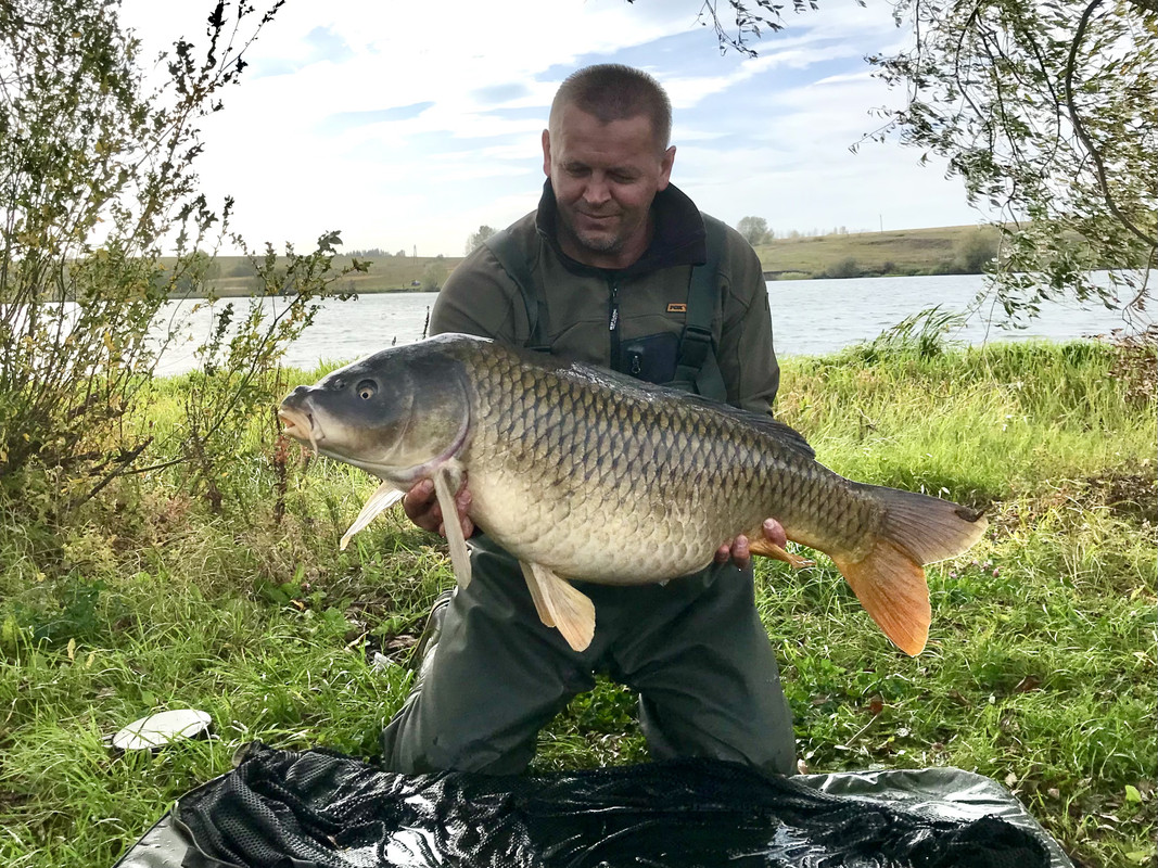 A1B9598A-7DF1-4EEE-9F7F-19F9B4C67F0D