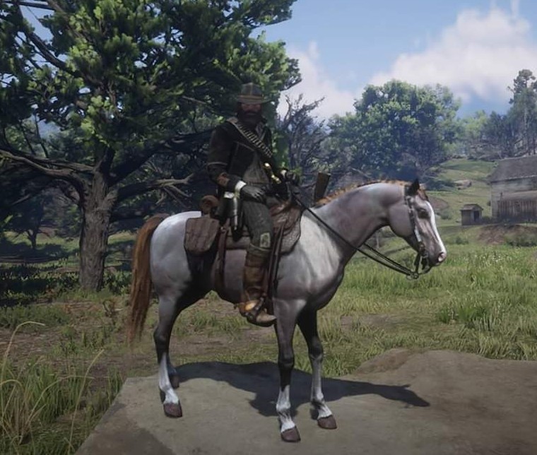 What's Your Horse's Name? Page 4 Red Dead Redemption 2 GTAForums