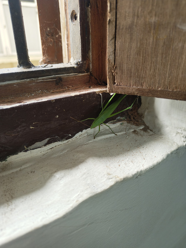 IMG_20251023_160015602