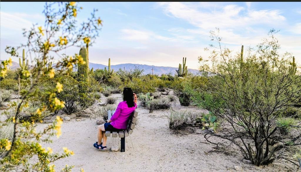 [Image: 20251113Sabino_Rec_Park1709_2.jpg]