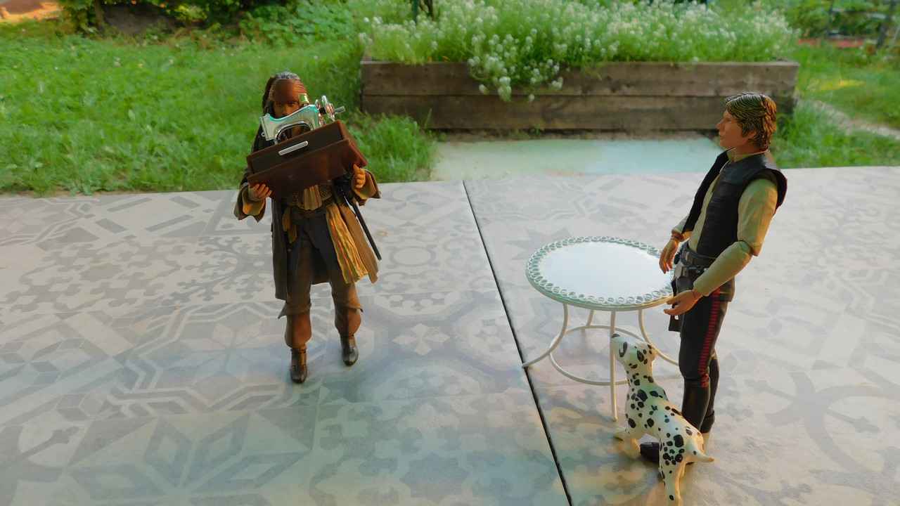 Дачно-Харлинский июнь-июль 2024 119