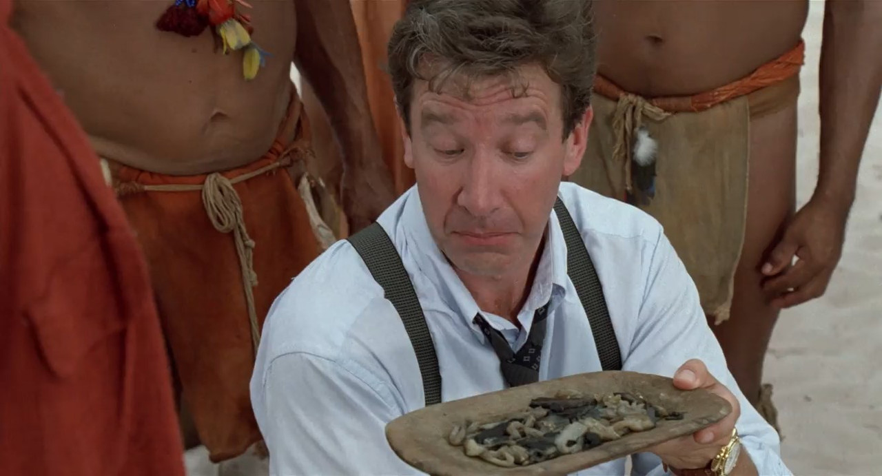Jungle 2 Jungle 1997 BluRay [Hindi + English] 480p, 720p ESub Screenshot