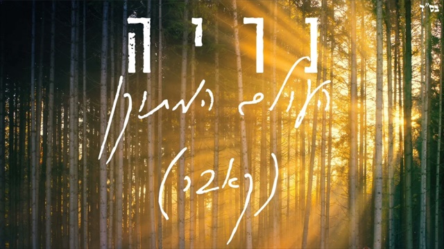 תמונה