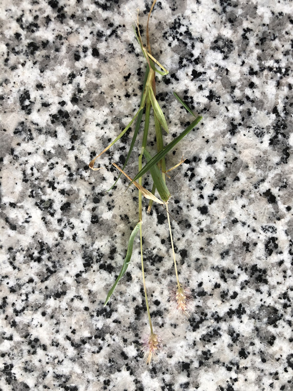 67EEEC91-9A38-47FF-B226-4012326093D9