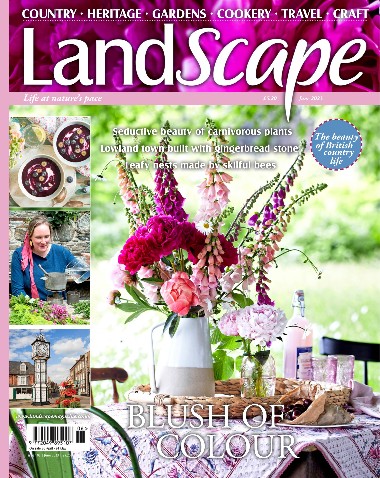 Landscape UK - June / 2023
