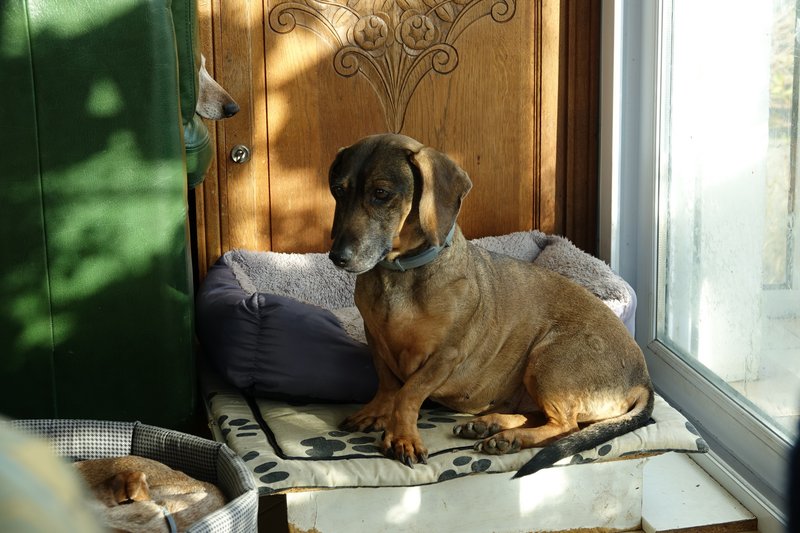 [Image: DSC00603.jpg]