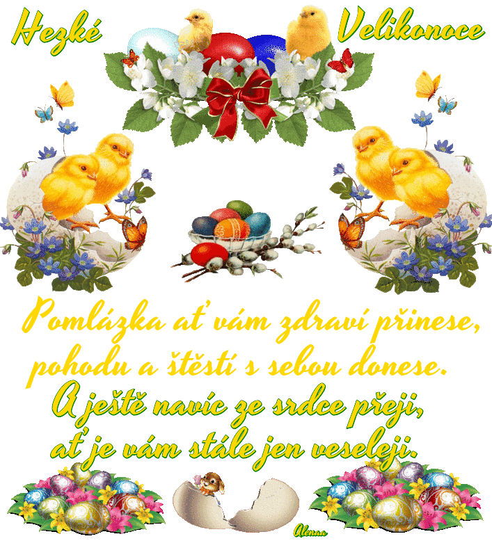 92515995-537249200327847-4630850484624687104-n