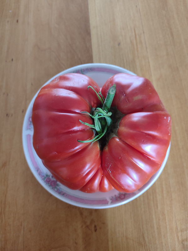 [Слика: IMG-20220824-122800.jpg]